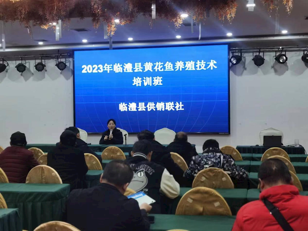 712eefd7fc13440c8228bcfbf4736c75.png