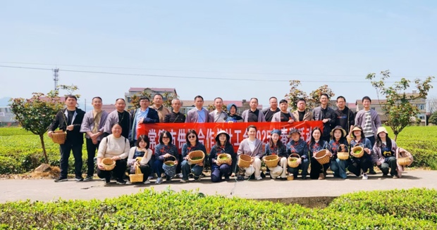 【会议活动】市供销社：踏春访茶乡 亲手采春光