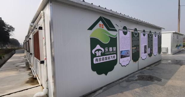 【流动供销】武陵区供销社：流动服务展示“新蘑力”