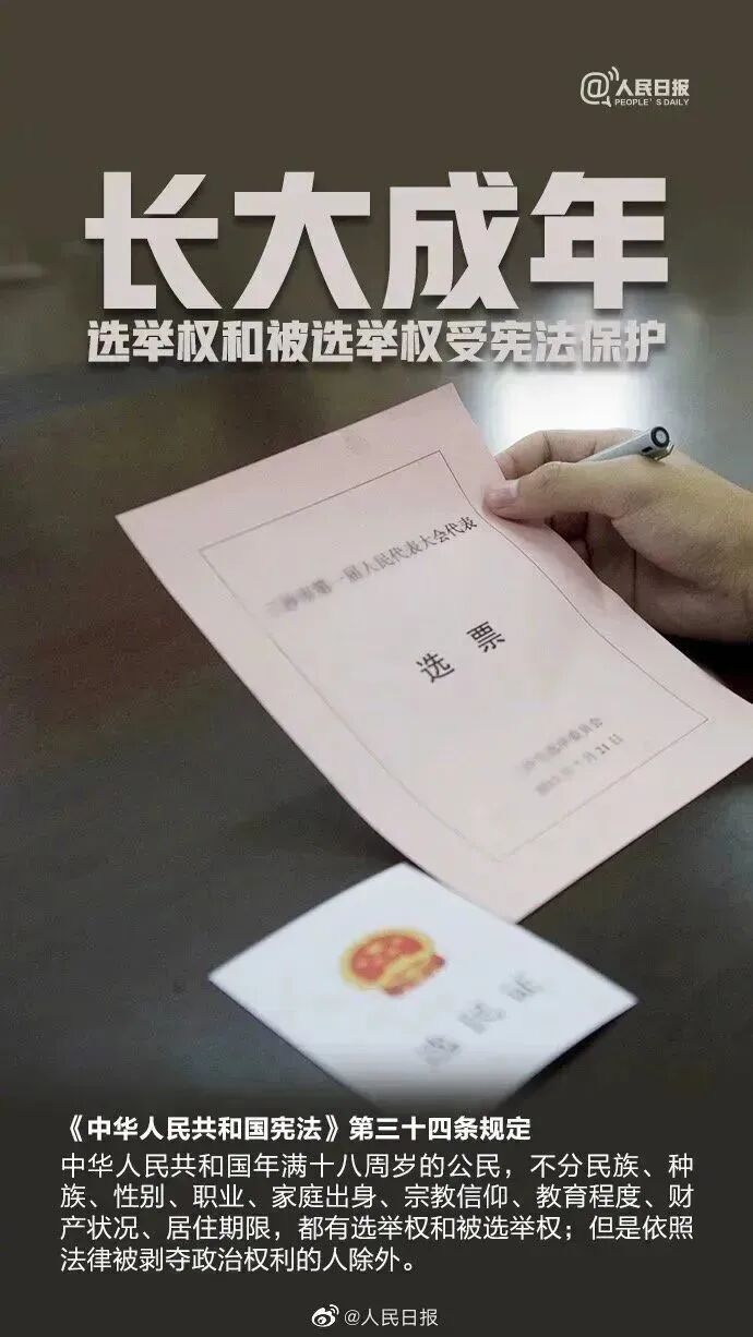 W020251202575768875095