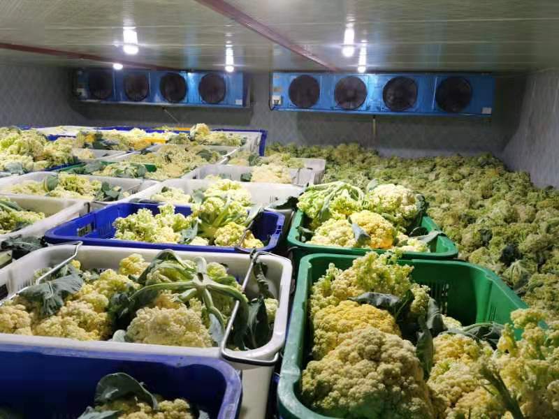 微信图片_20251215083405_90