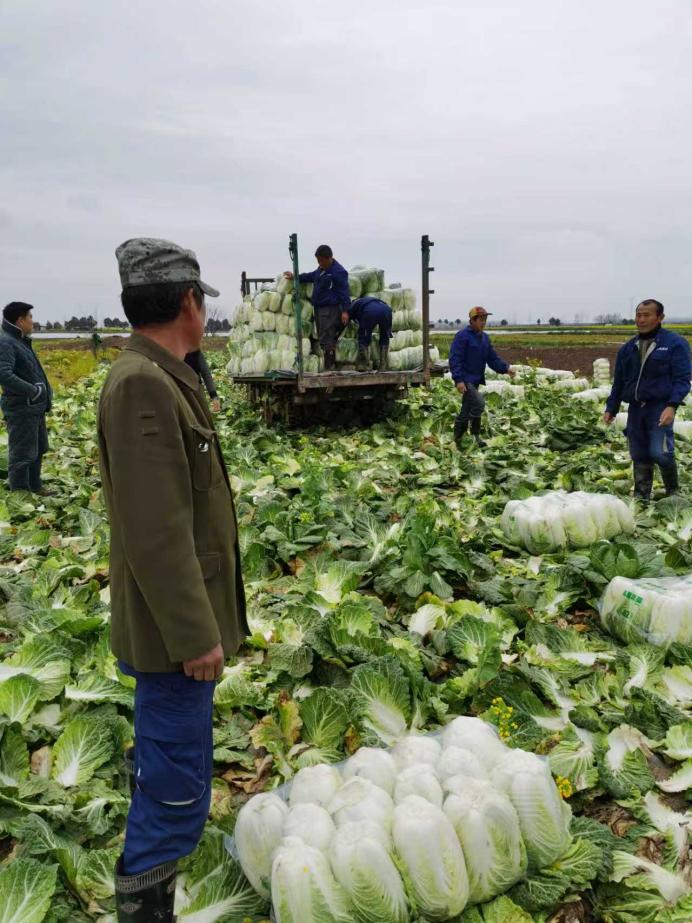 微信图片_20251215083425_88