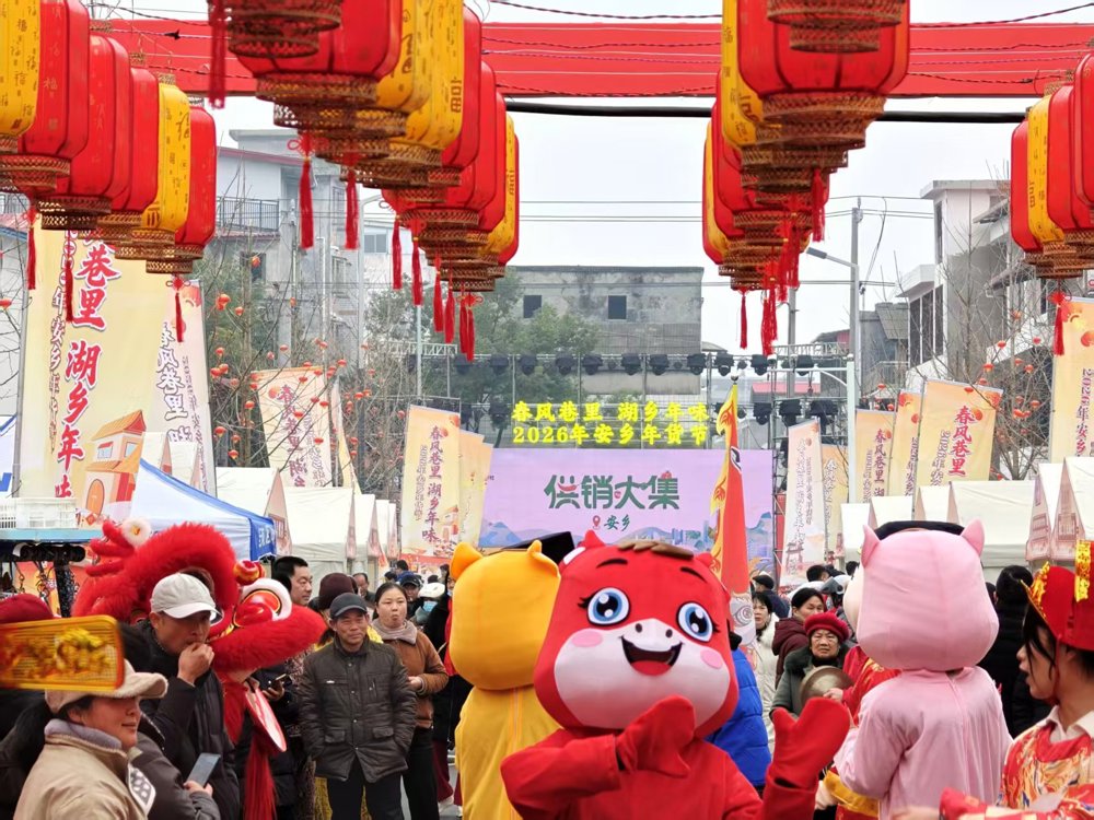 【供销大集】春风巷里年味浓 供销大集促振兴 ——安乡县2026年新春年货节暨供销大集火热开启
