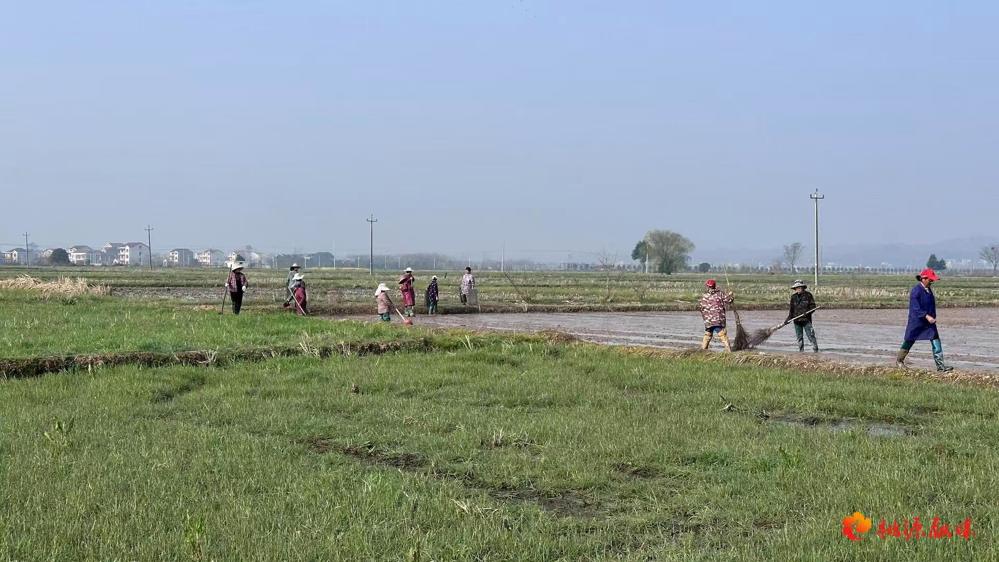【春耕生产】各县市区供销社全力护航春耕生产①