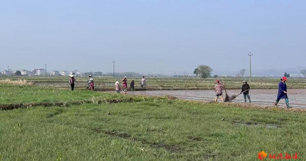 【春耕生产】各县市区供销社全力护航春耕生产①