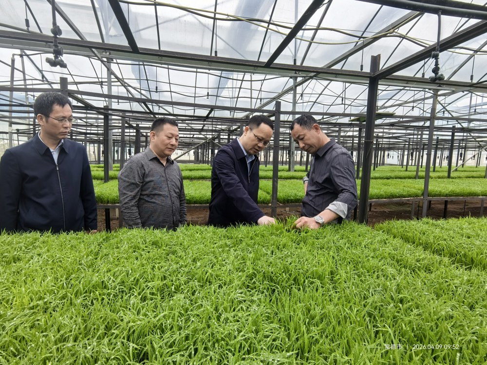 【调研考察】市供销社赴桃源县调研春耕农资供应工作