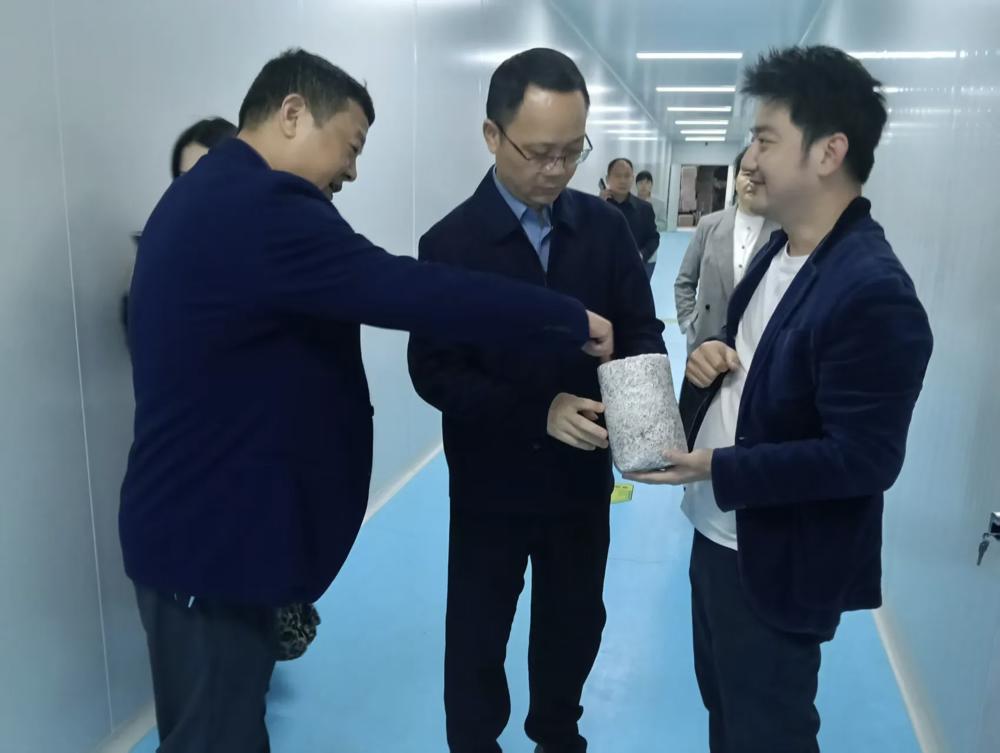 【调研考察】市供销社调研武陵区供销系统工作