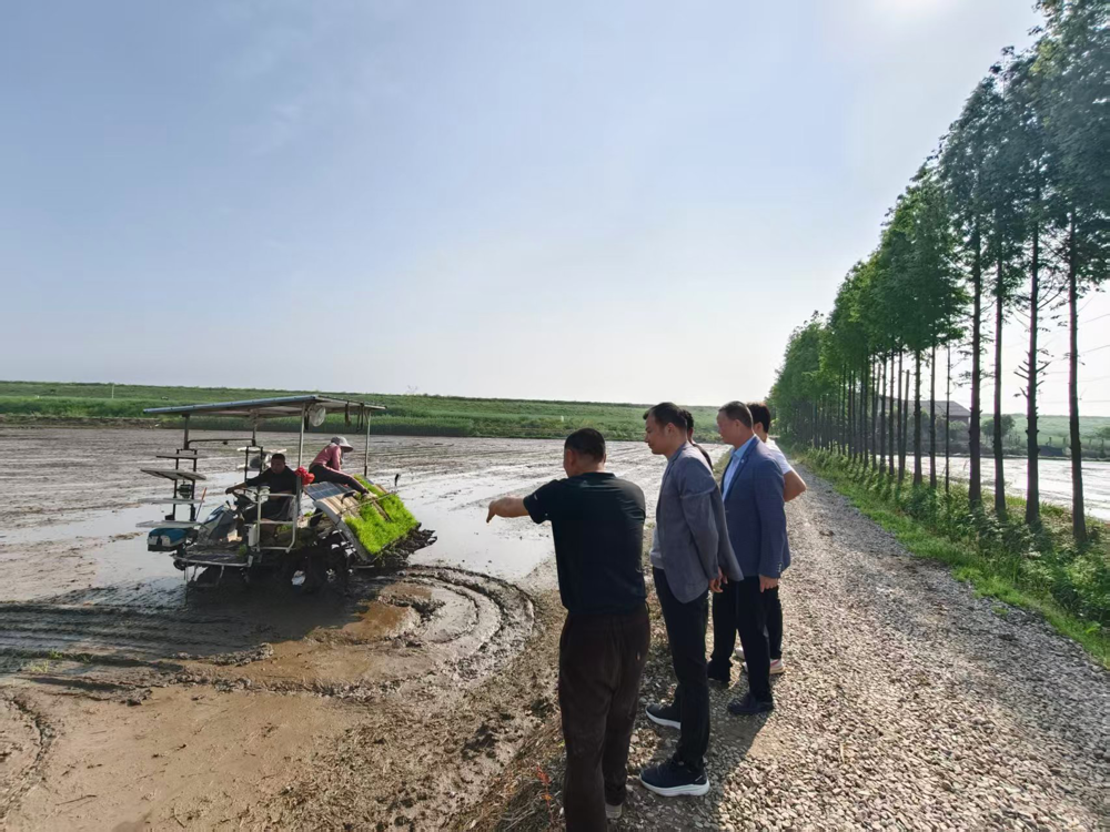 【春耕生产】安乡县供销社全力推进早稻机插机抛作业