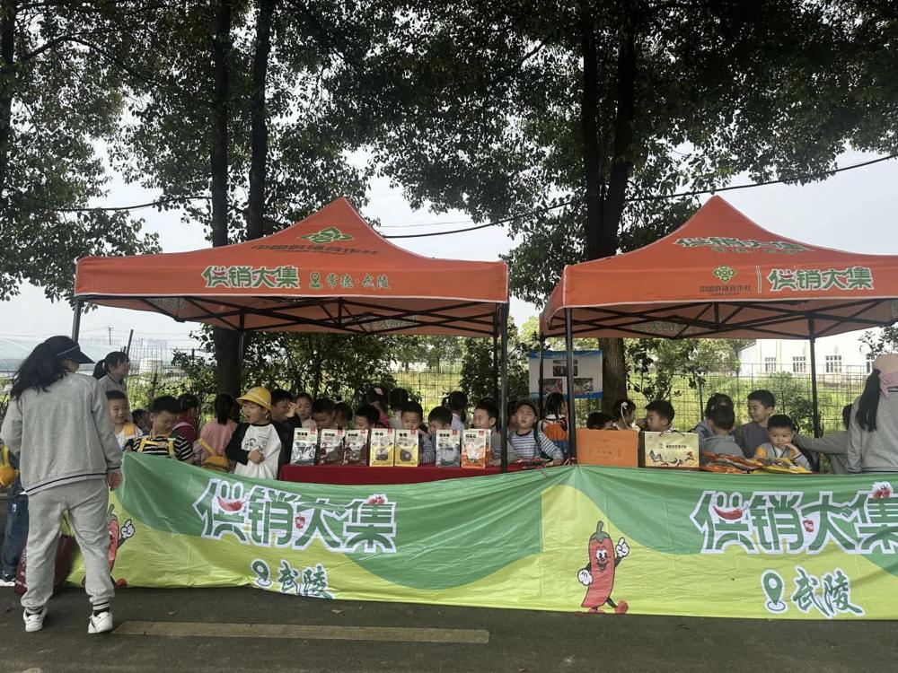 【供销大集】武陵区供销社开展“供销大集”特色研学活动