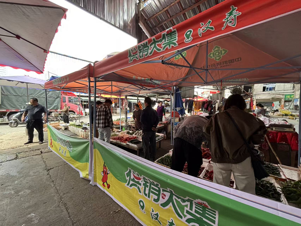 【供销大集】汉寿县供销社：“供销大集”打通产销“直通车”